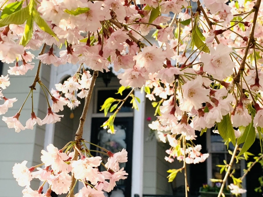 IMG_3667.jpg?type=w966