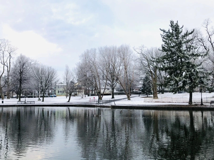 IMG_4475.jpg?type=w966