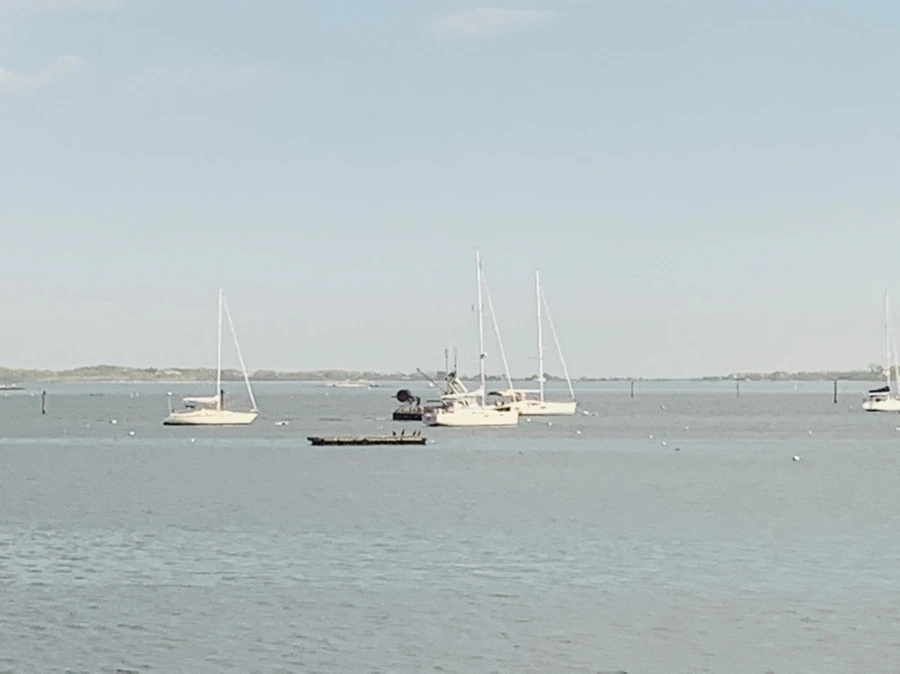 IMG_3189.jpg?type=w966