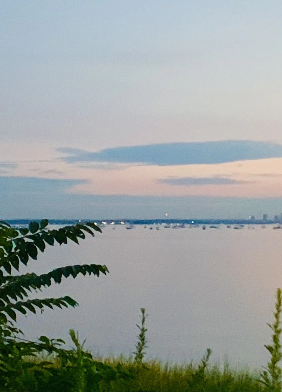 IMG_0848.jpg?type=w966