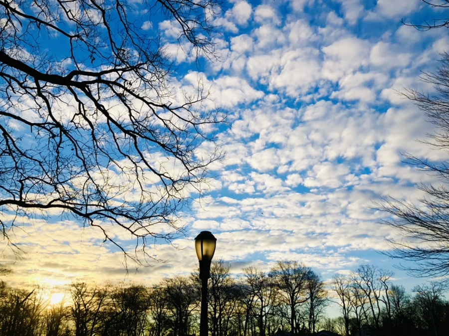 IMG_4889.jpg?type=w966