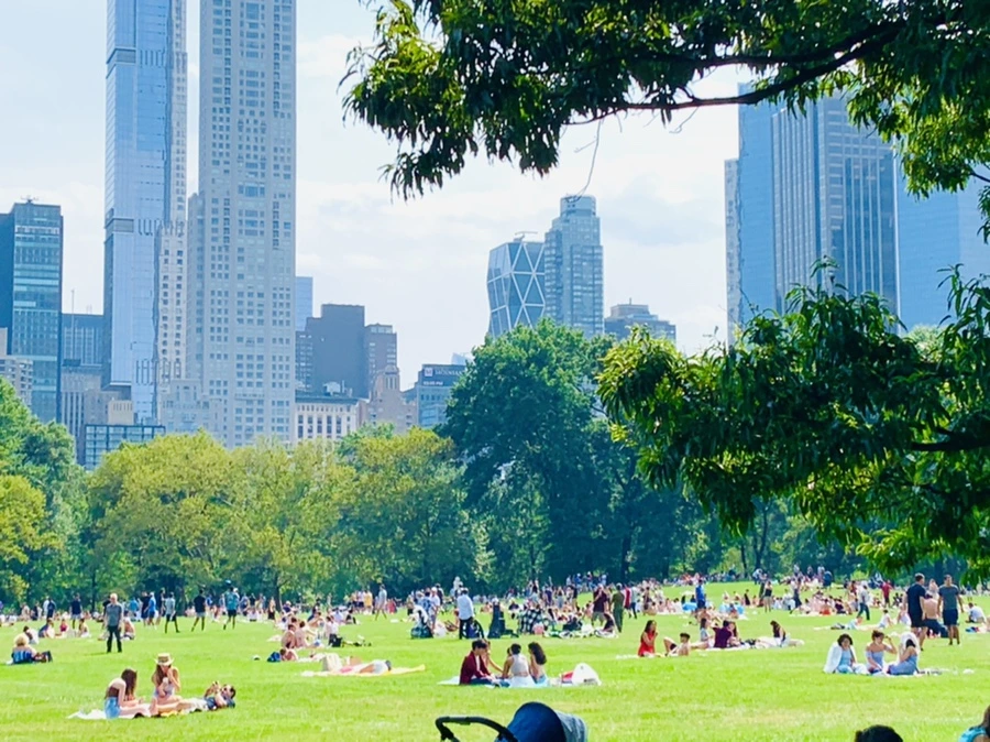 IMG_0603.jpg?type=w966