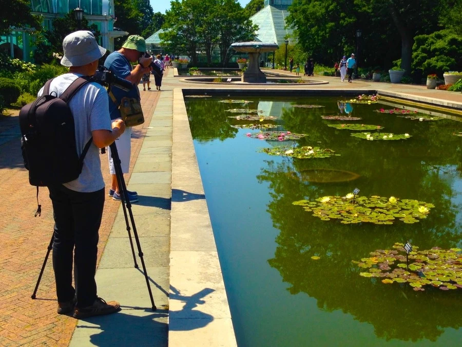 IMG_7017.JPG?type=w1