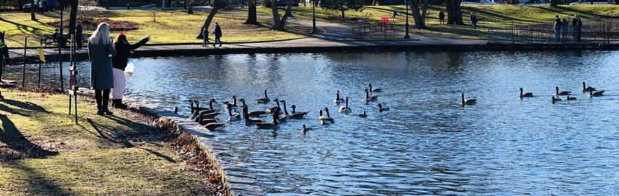 IMG_9271.jpg?type=w966