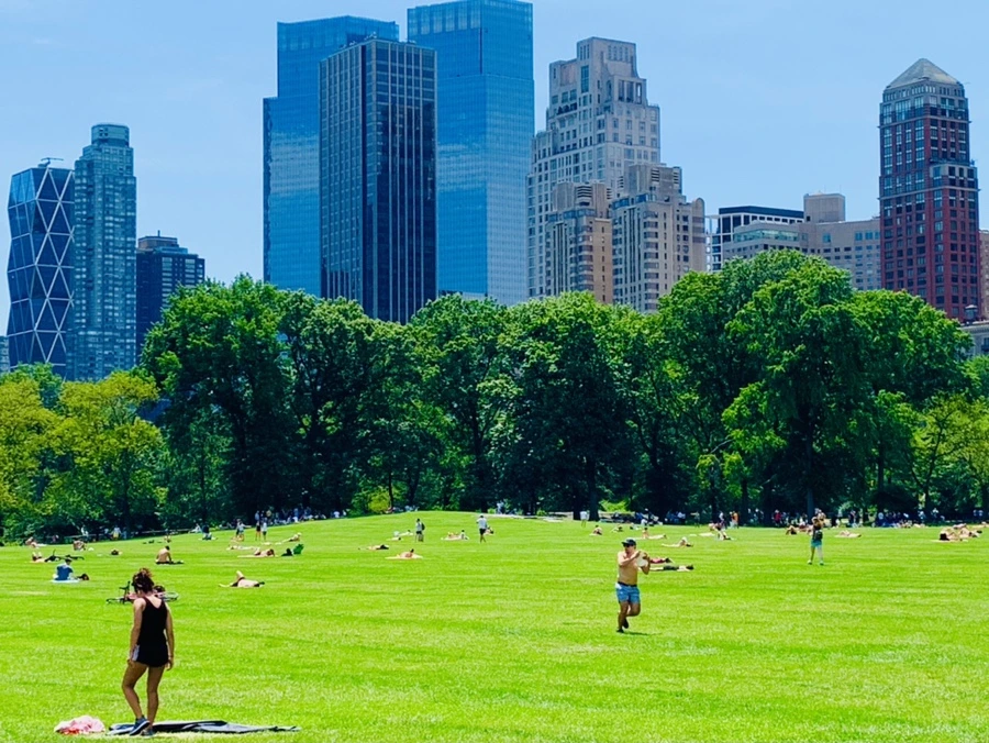 IMG_4945.jpg?type=w966