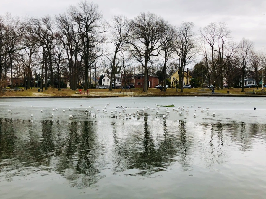 IMG_6404.jpg?type=w966