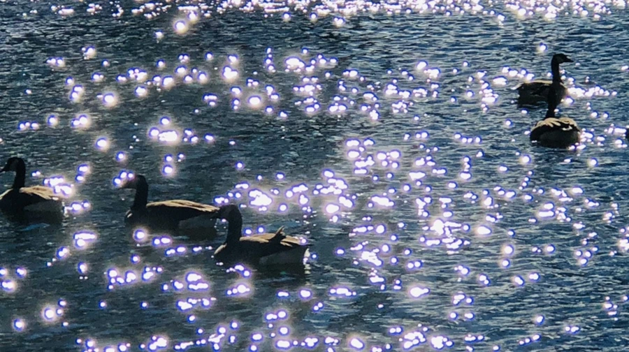 IMG_9193.jpg?type=w966