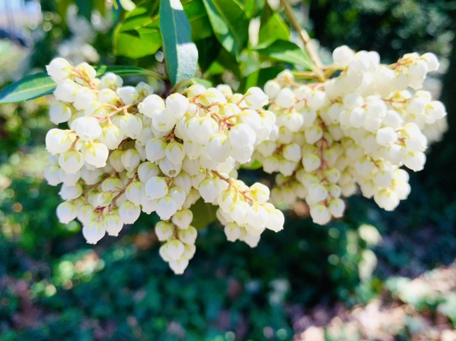 IMG_5653.jpg?type=w966