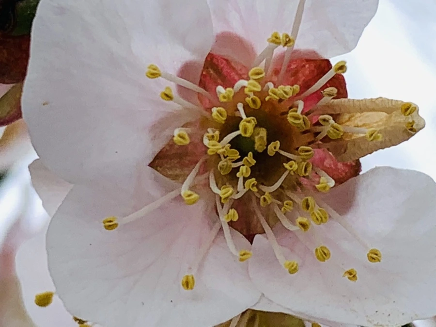 IMG_3552.jpg?type=w966