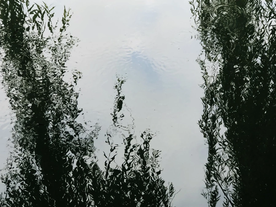 IMG_3074.jpg?type=w966