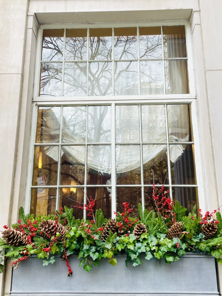 IMG_7414.jpg?type=w966