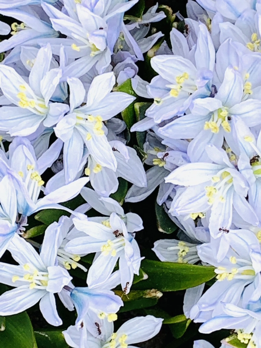 IMG_3525.jpg?type=w966