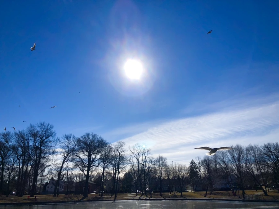 IMG_5359.jpg?type=w966