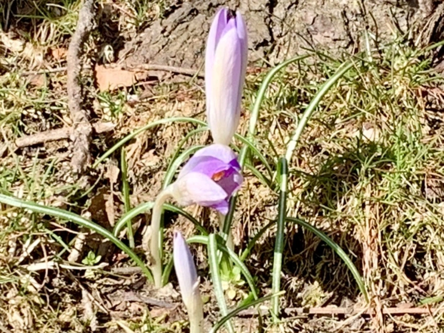 IMG_7461.jpg?type=w966