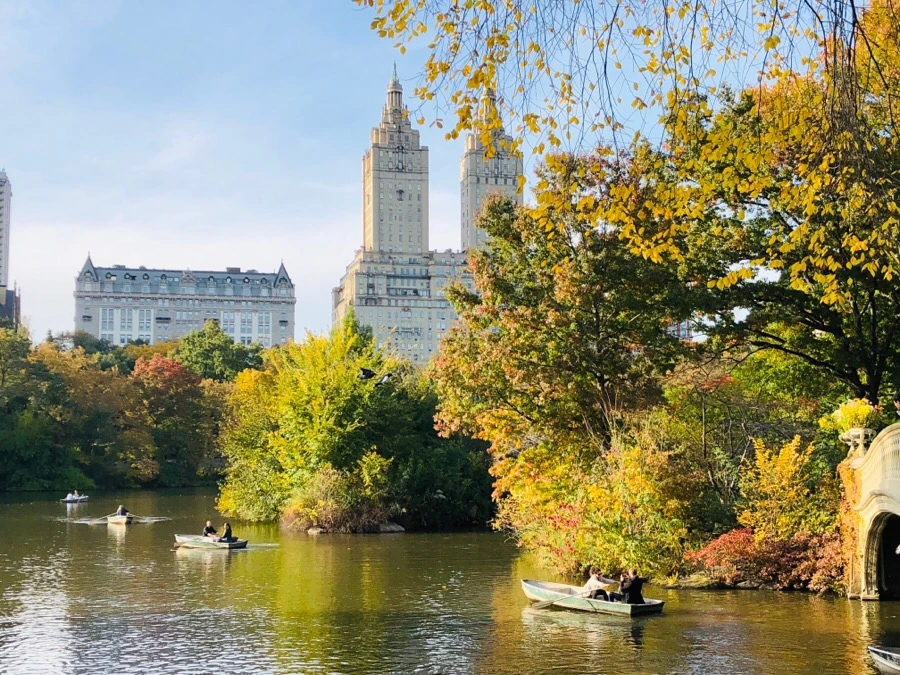 IMG_7215.jpg?type=w966