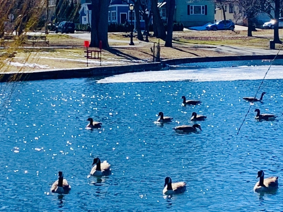 IMG_6836.jpg?type=w966