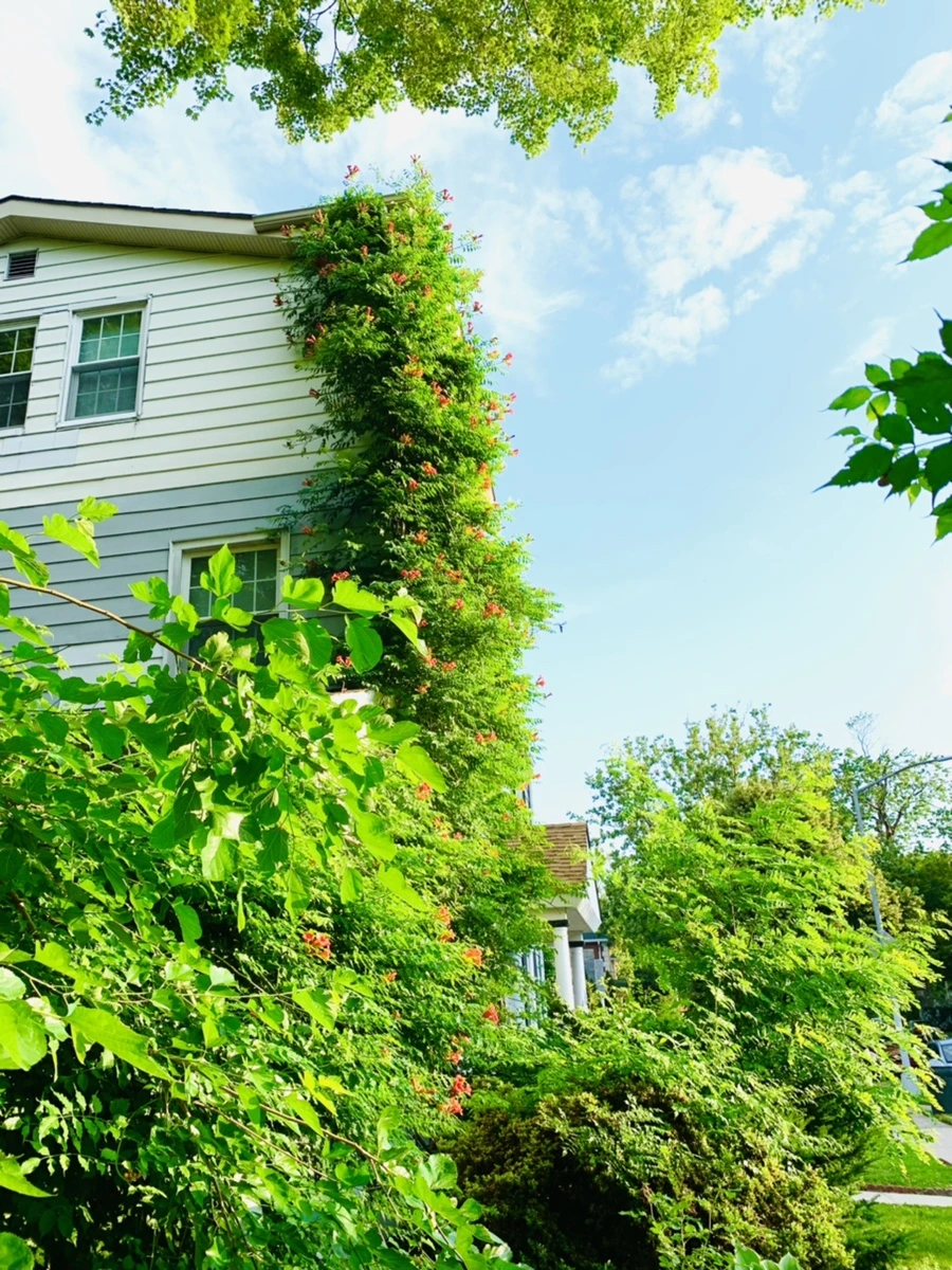 IMG_5834.jpg?type=w966