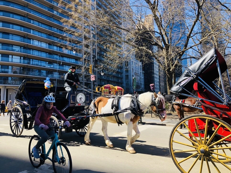 IMG_1192.jpg?type=w966