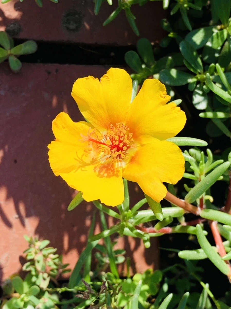 IMG_8404.jpg?type=w966