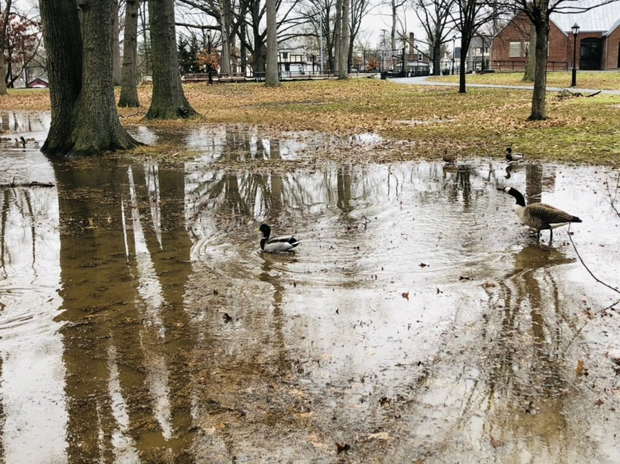 IMG_9489.jpg?type=w966