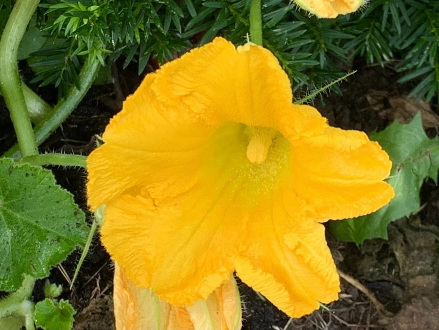 IMG_9089.jpg?type=w966