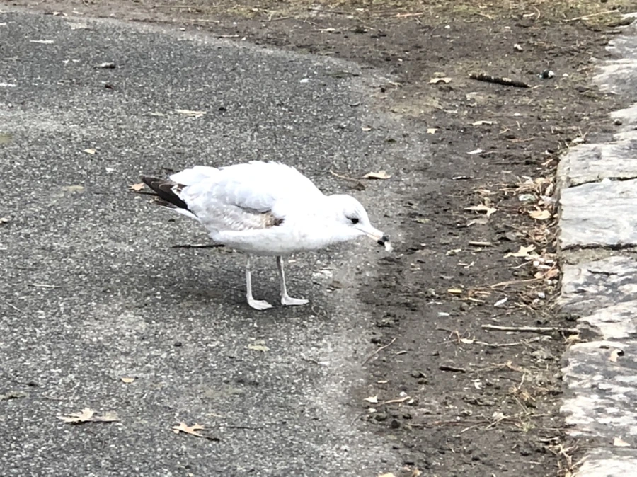 IMG_6432.jpg?type=w966