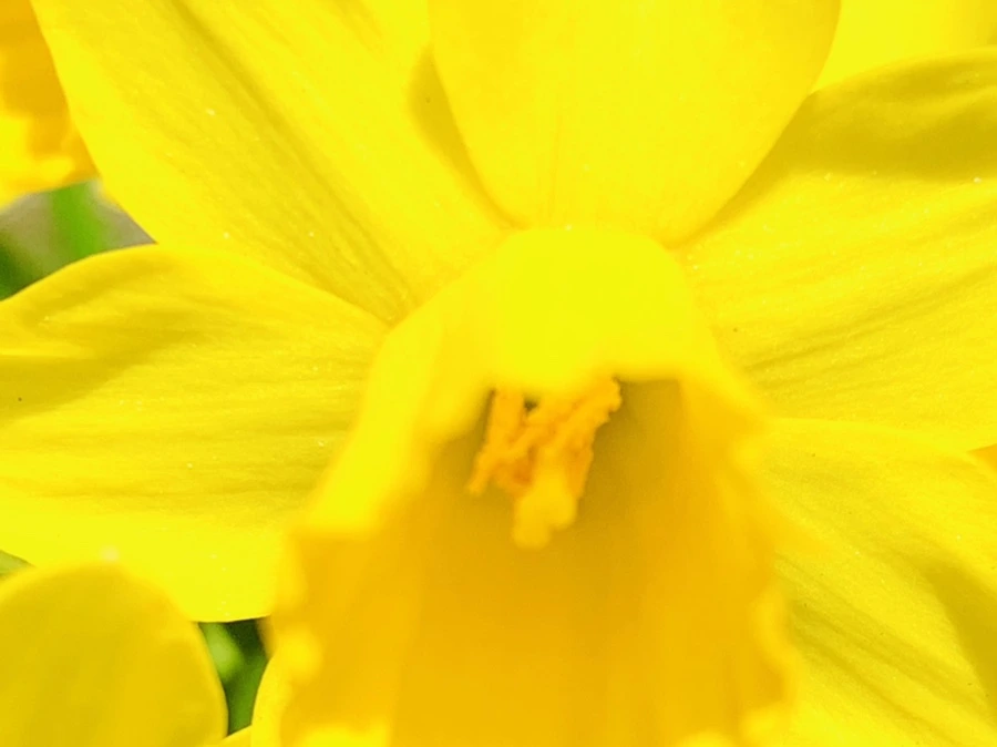 IMG_3396.jpg?type=w966