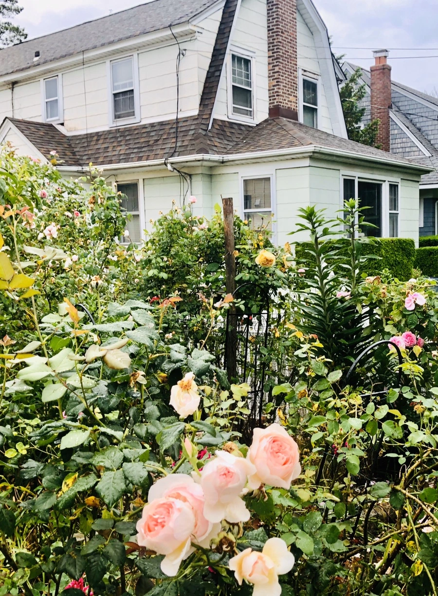 IMG_8126.jpg?type=w966