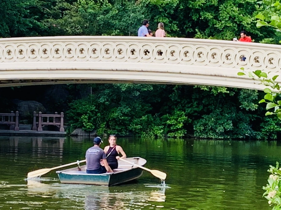 IMG_1733.jpg?type=w966