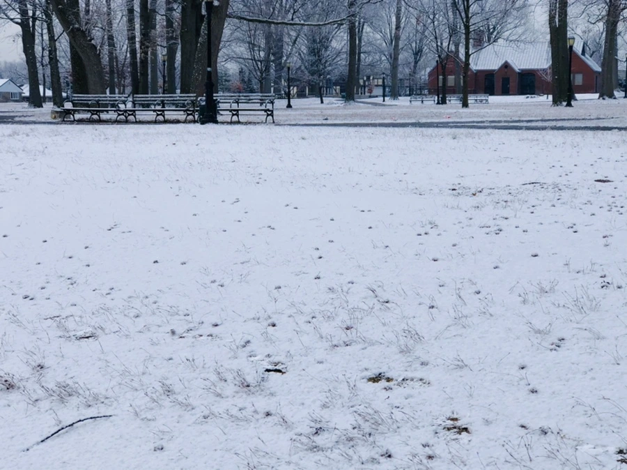 IMG_4488.jpg?type=w966