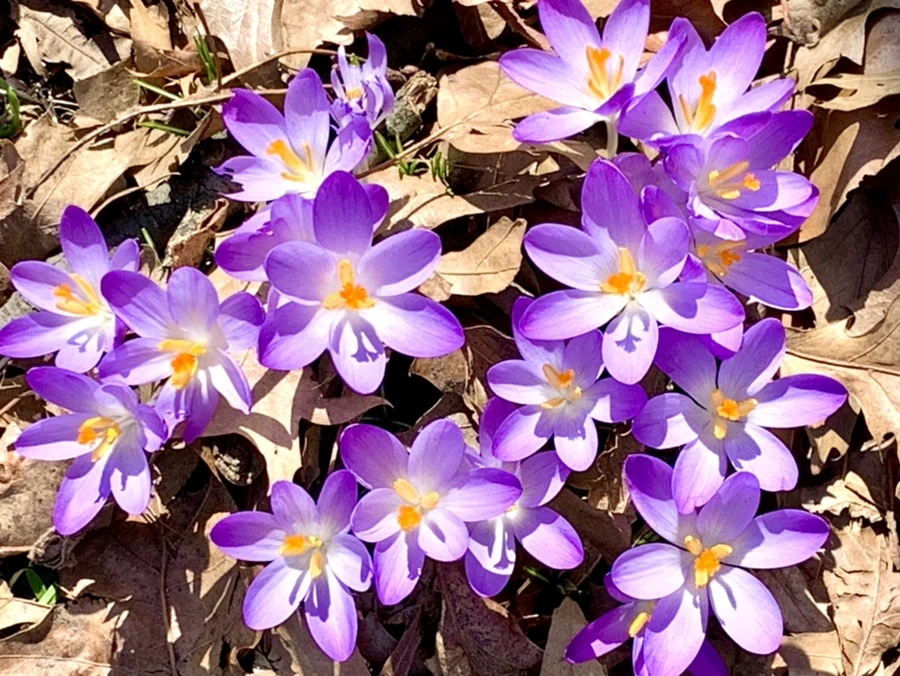 IMG_9789.jpg?type=w966