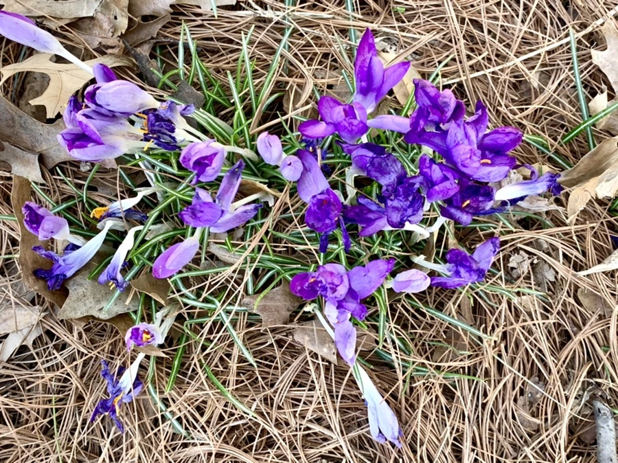 IMG_1422.jpg?type=w966