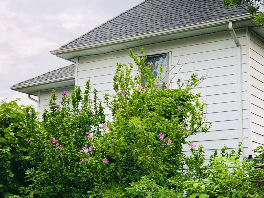 IMG_4181.jpg?type=w966