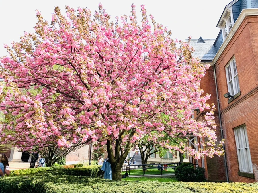 IMG_5085.jpg?type=w966