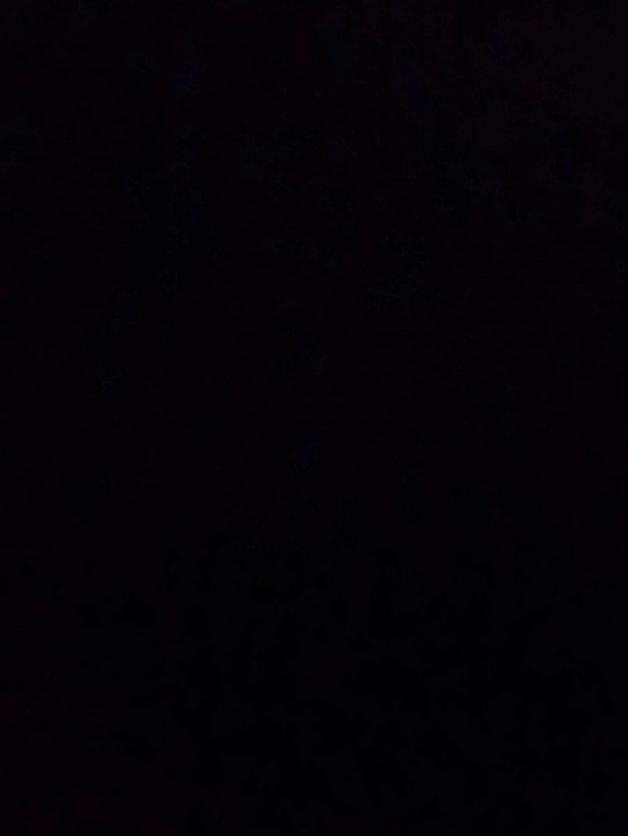 IMG_0095.jpg?type=w966