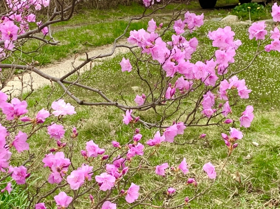 IMG_5987.jpg?type=w966