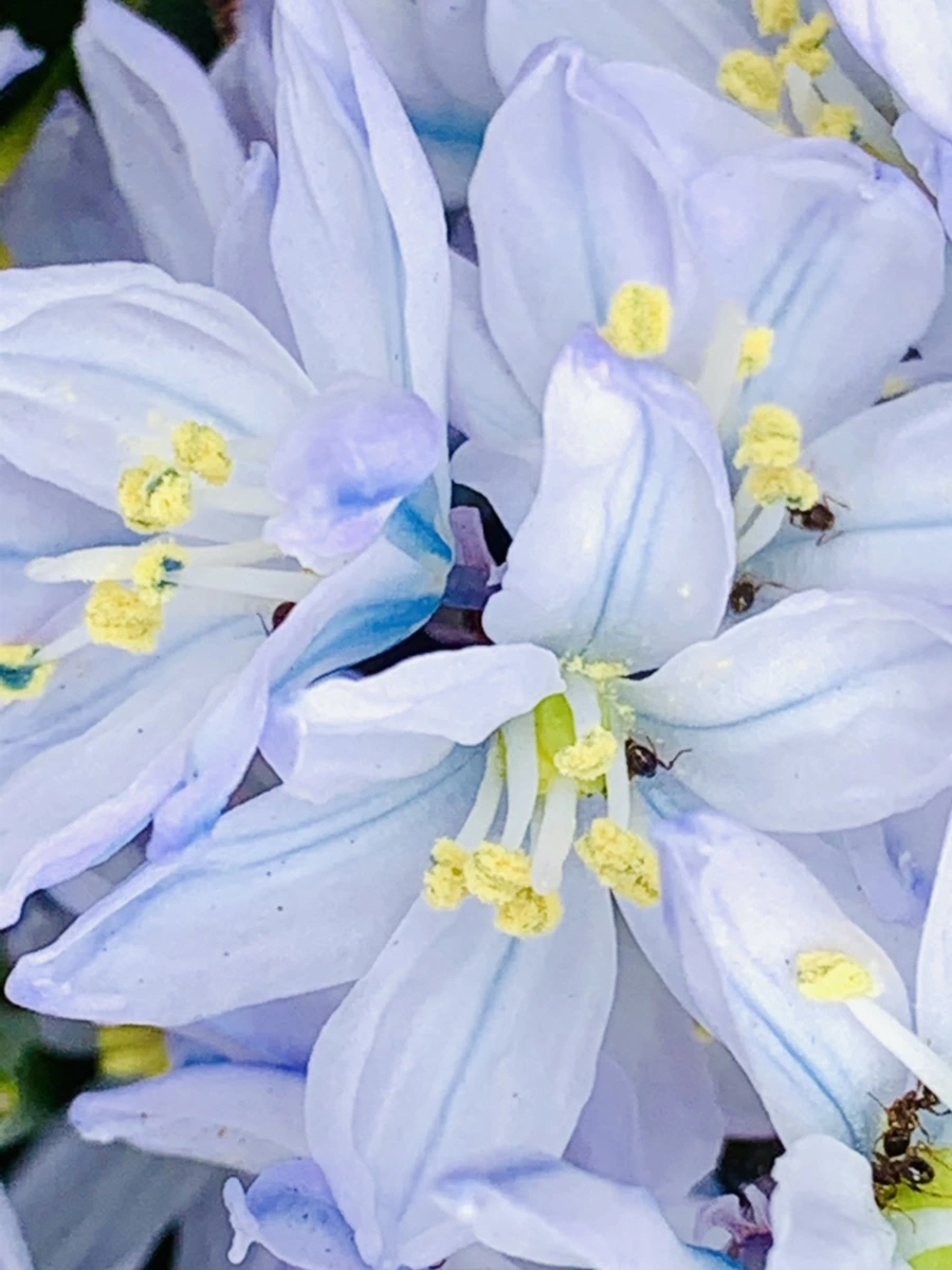 IMG_3529.jpg?type=w966