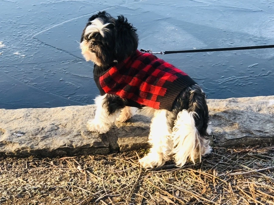 GAq96ebQqJ2eeuJ1K_HtLK4Le6M