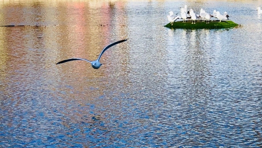 ZJ6BdKL_bKALeQMA5BMJNuhnEHA