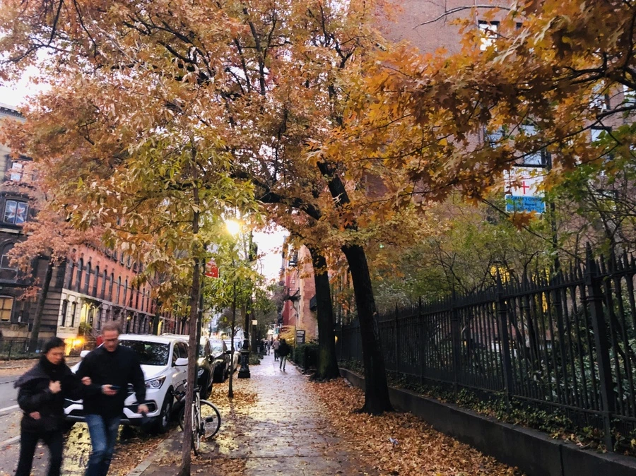 IMG_2264.jpg?type=w966