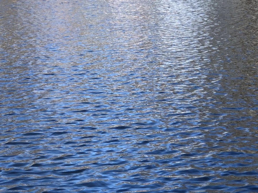 IMG_3807.jpg?type=w966