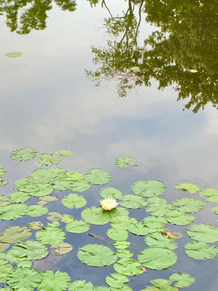 IMG_1838.jpg?type=w966