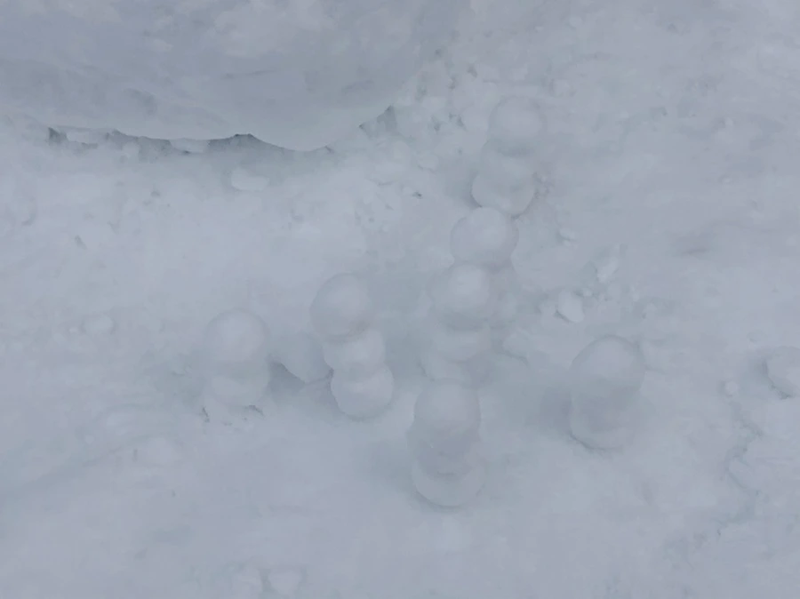 IMG_9561.jpg?type=w966