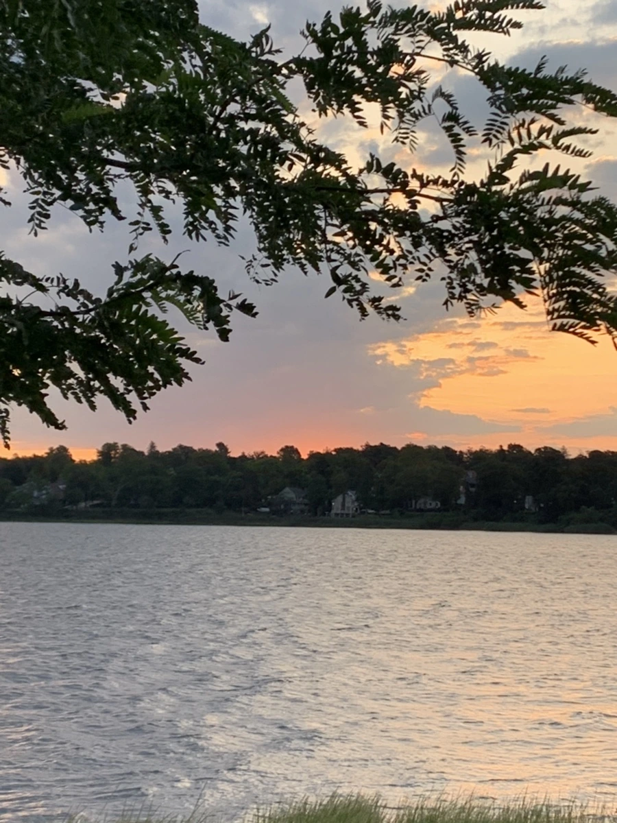 IMG_1695.jpg?type=w966