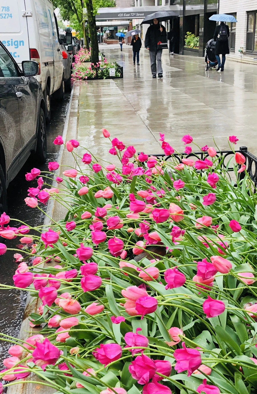 IMG_4615.jpg?type=w966