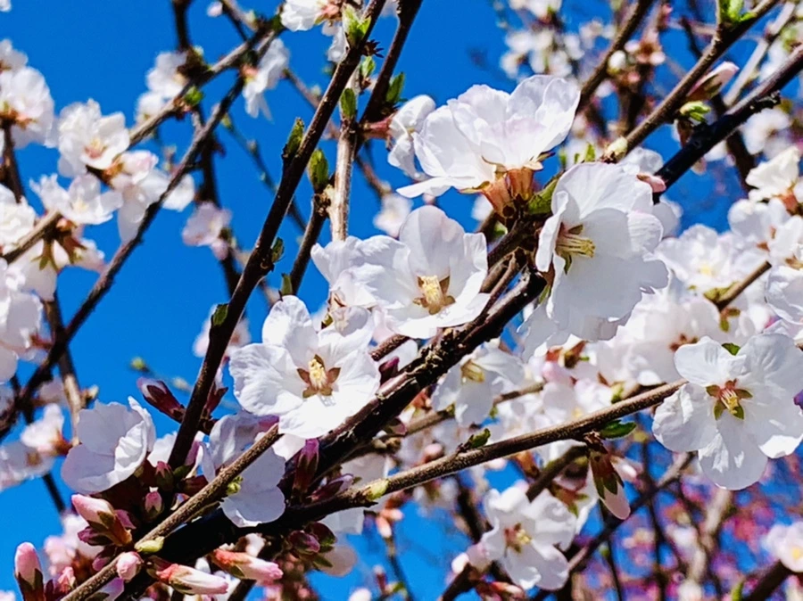 IMG_7643.jpg?type=w966