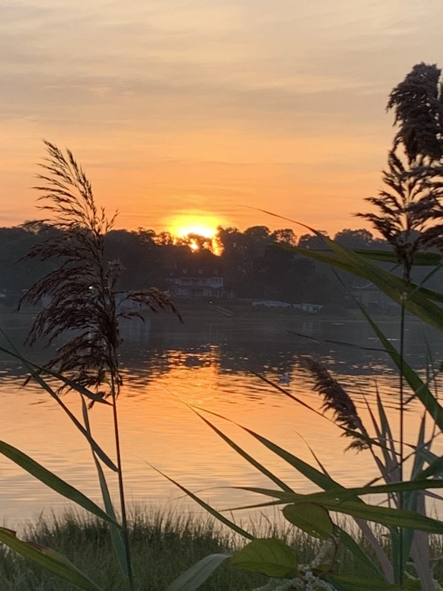 IMG_6834.jpg?type=w966