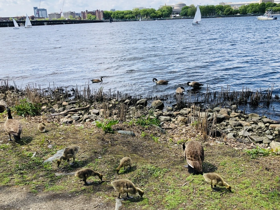 IMG_5228.jpg?type=w966