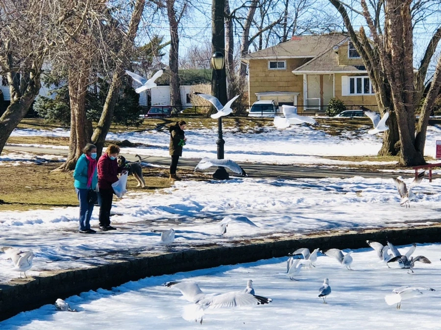 IMG_4755.jpg?type=w966