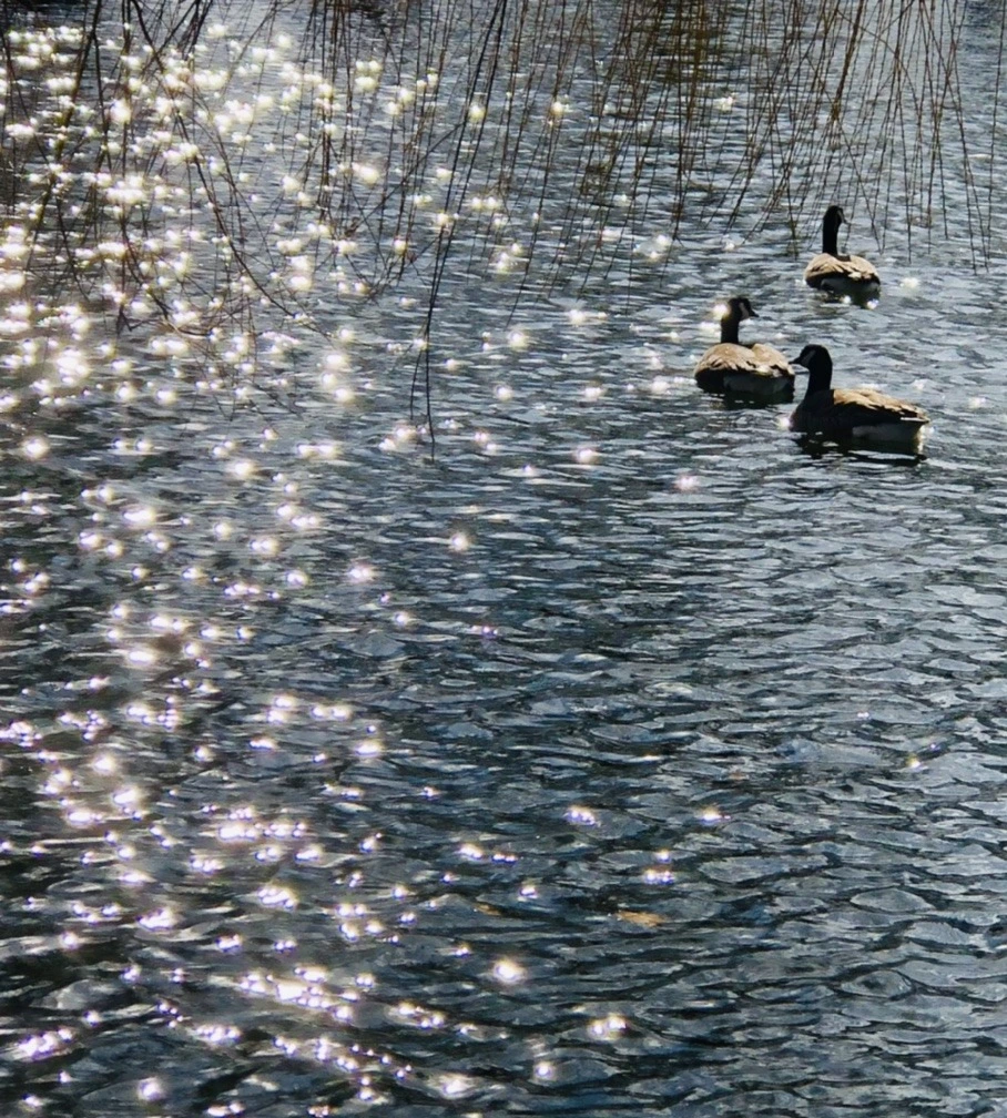 AjjQga-CK5mWTPCJpEfk3RC_BNM